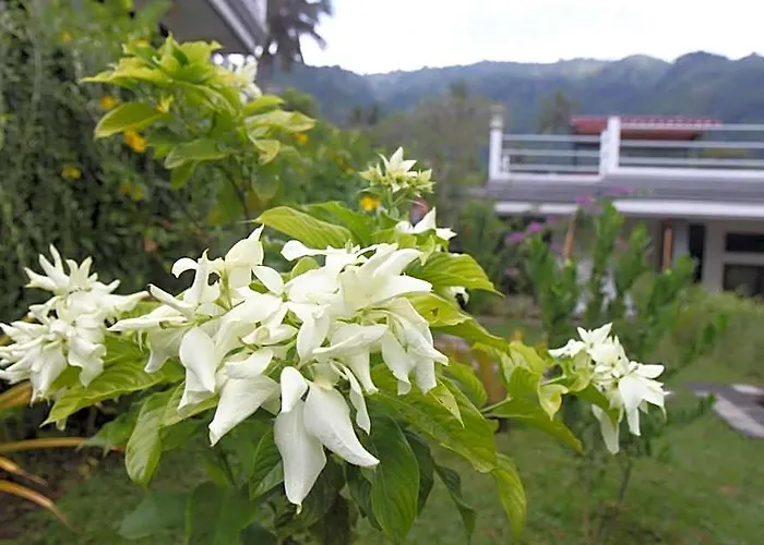 Markisa Pakisan 4* バリ島