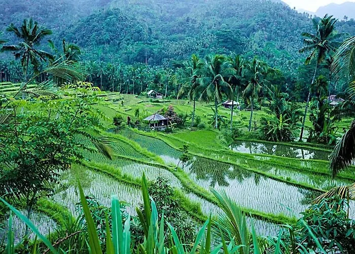 ホテル Markisa Pakisan